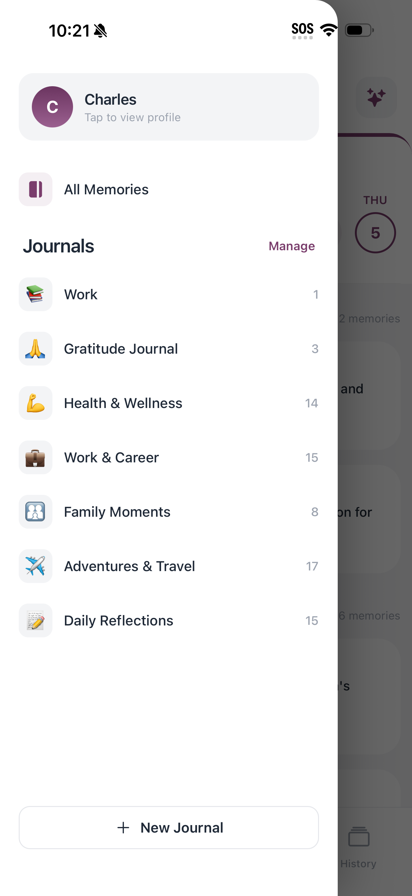 Memory & Journaling screenshot